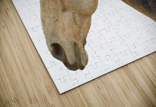 crystal river valley B Zolle puzzle