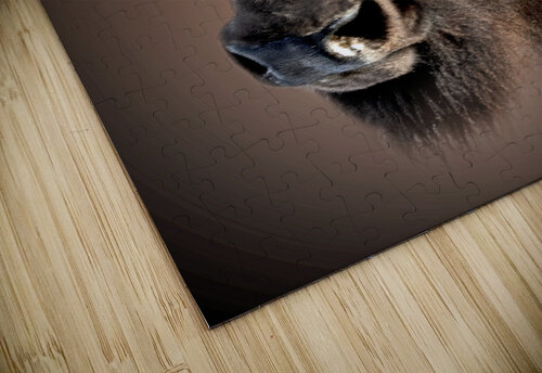 Been There B Zolle puzzle