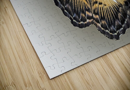 Clipper Art B Zolle puzzle