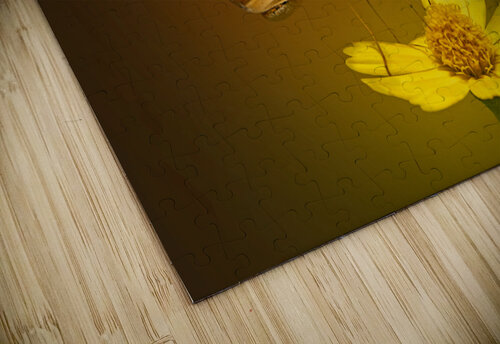 Julias Sip B Zolle puzzle