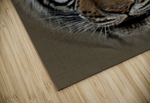 Fierce B Zolle puzzle