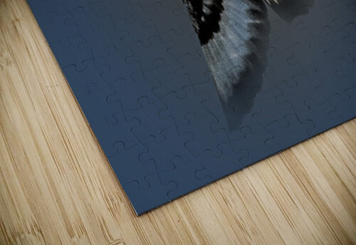 Or Willet B Zolle puzzle