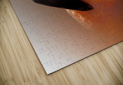 Pinky Pose B Zolle puzzle