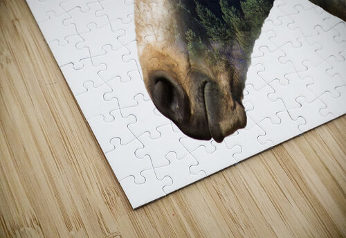 Go For A Ride B Zolle puzzle