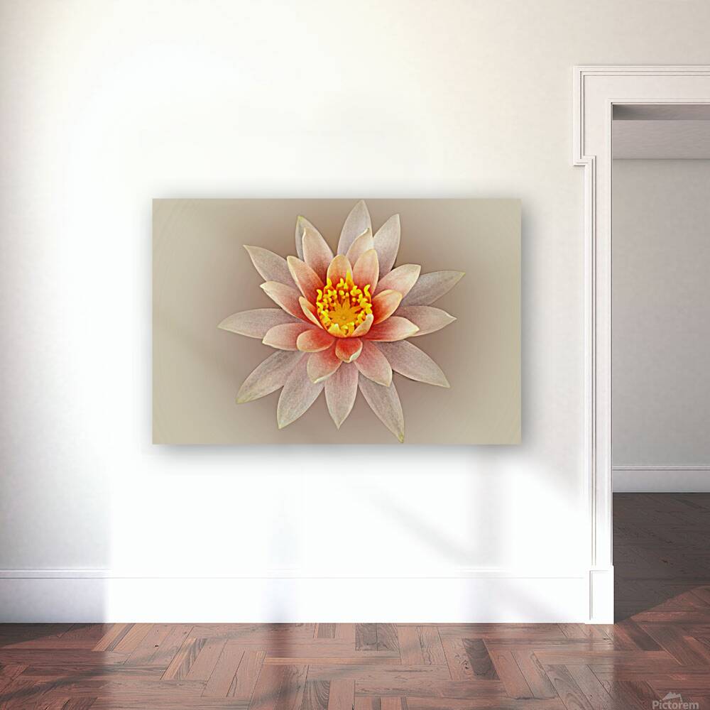 Lily Heart Reproduction