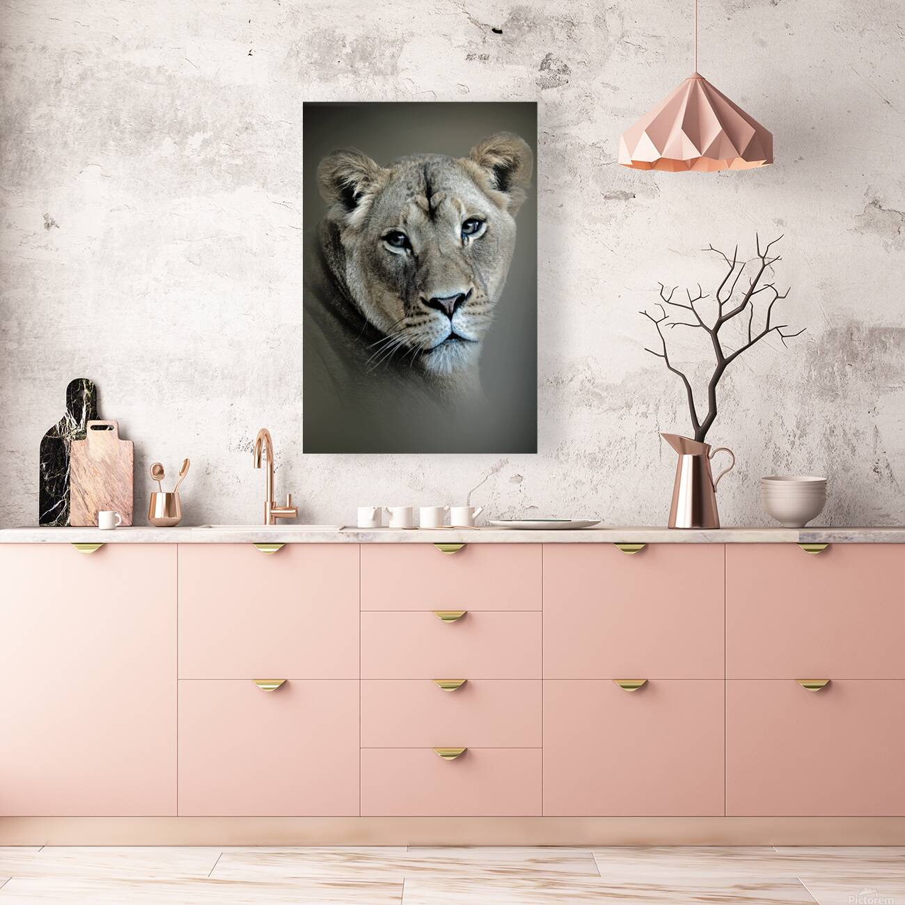 Lioness Reproduction