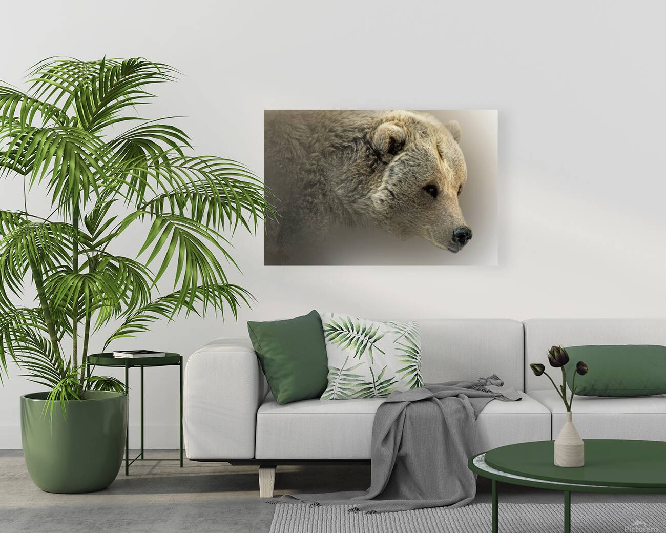 Hey Bear Reproduction