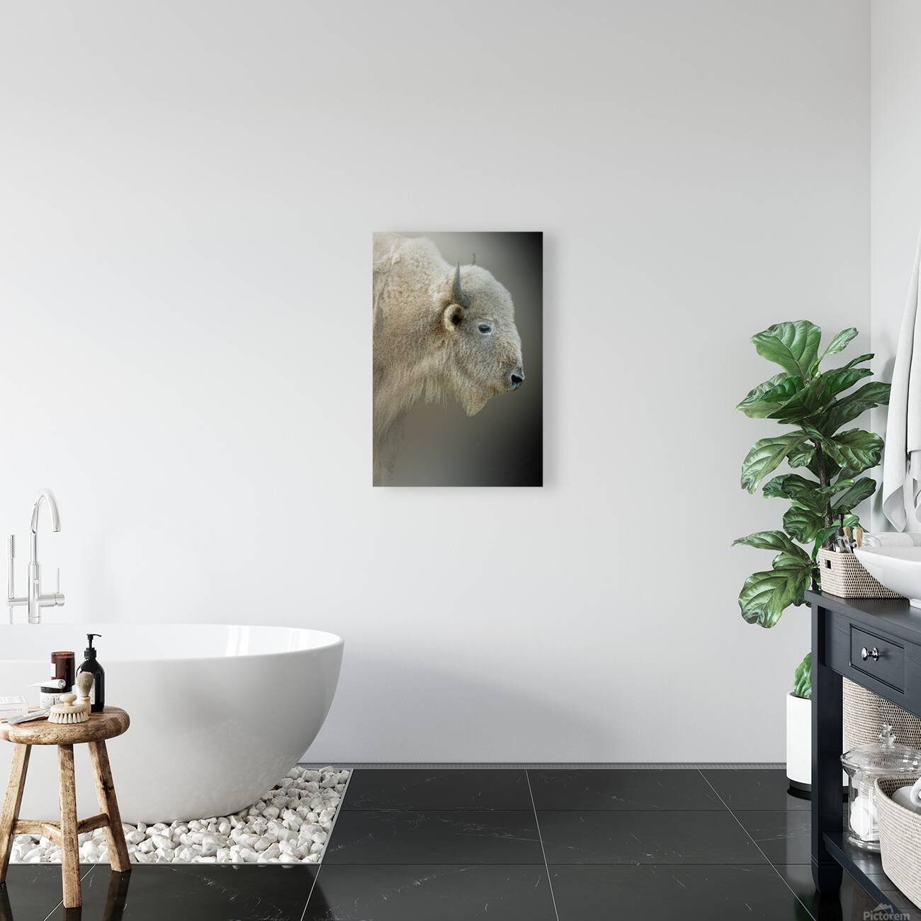 Blonde Bison Reproduction