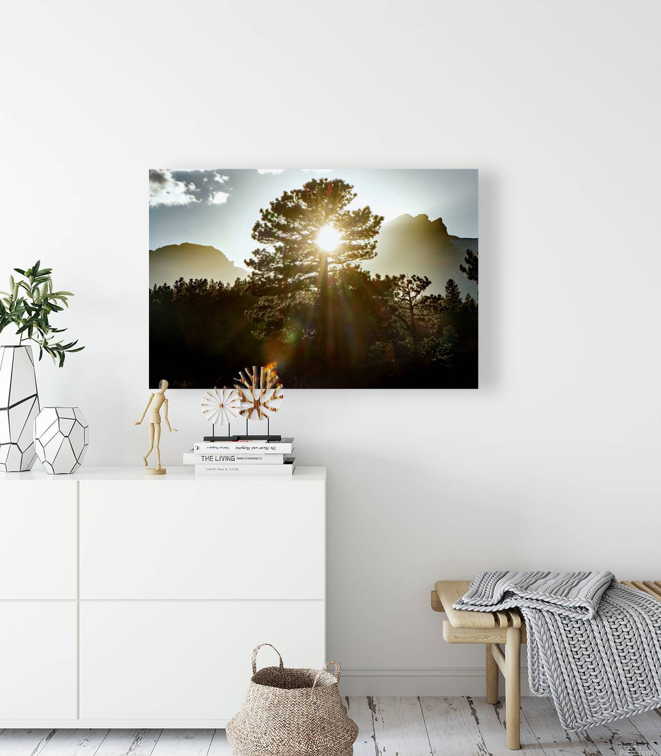 Alpine Sunbeams  Reproduction