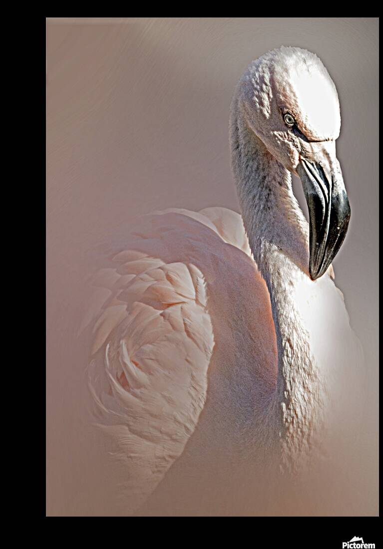 Pastel Whispers Reproduction