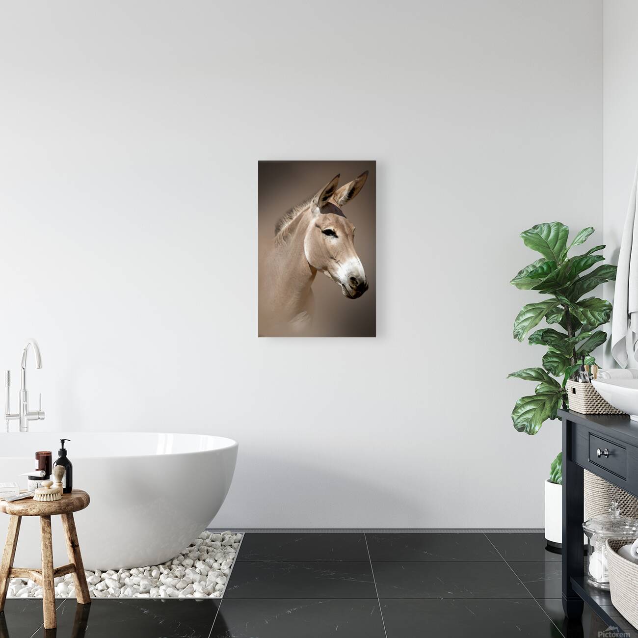 Wild Ass Portrait Reproduction