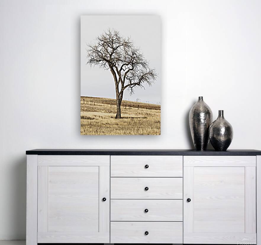 Solitude in Twisted Branches Reproduction