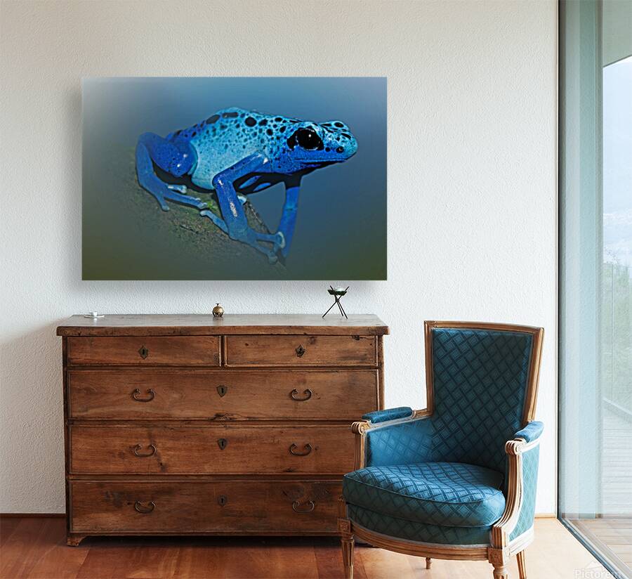 Cerulean Sentinel  Reproduction