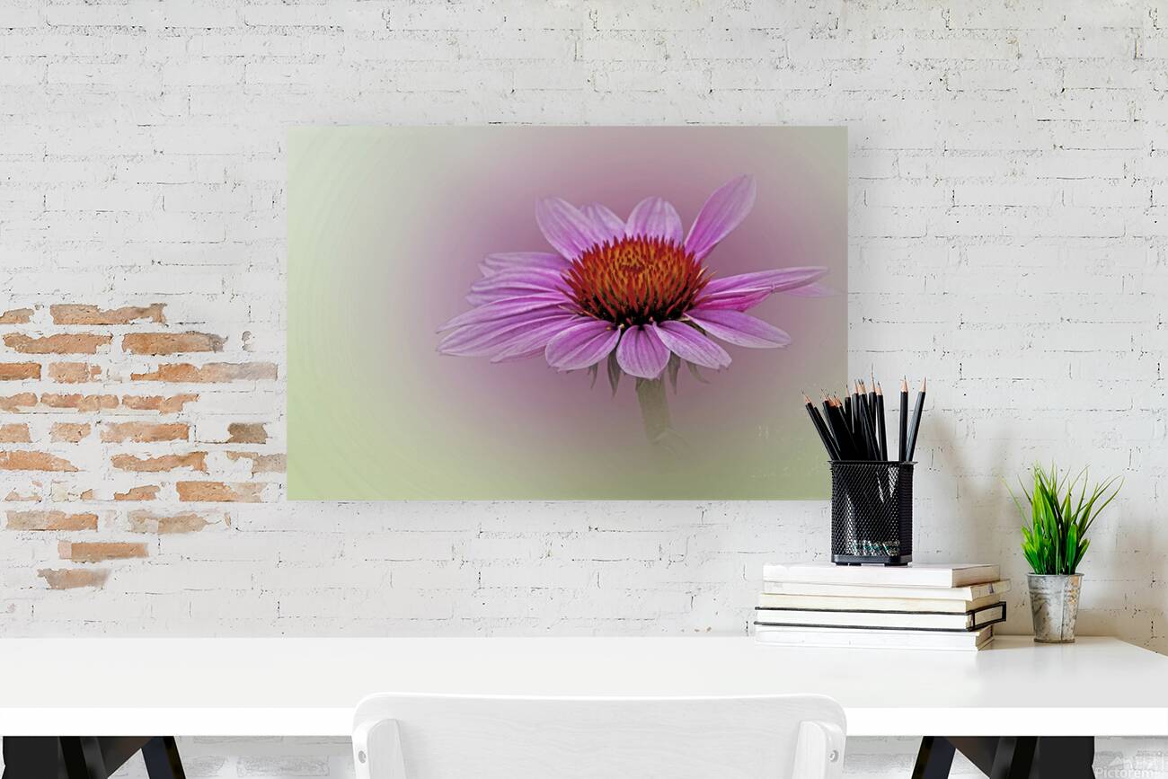 Soft Petals Bright Cheer Reproduction
