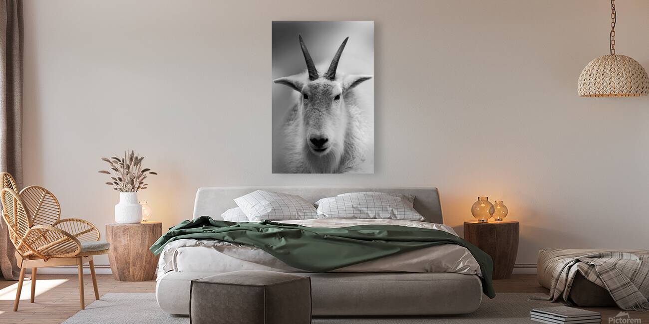 A Cloud with Horns Reproduction