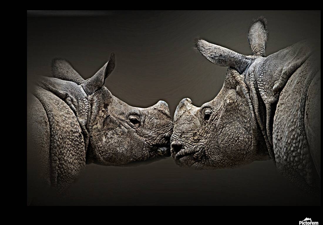 Affectionate Reproduction