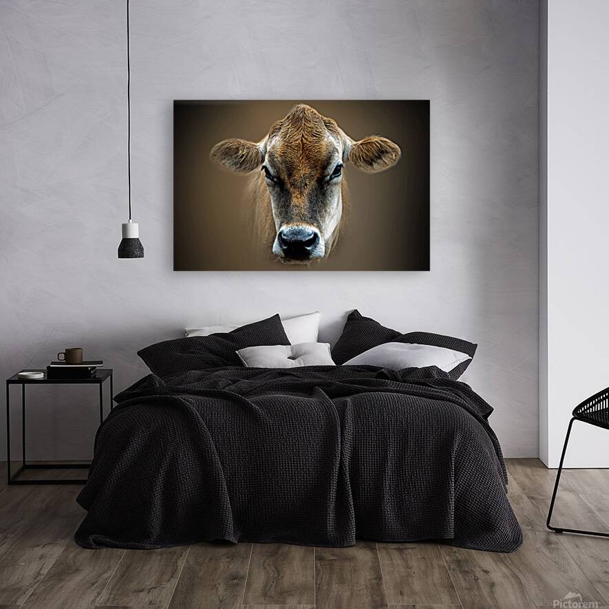 Over the MOOON Reproduction