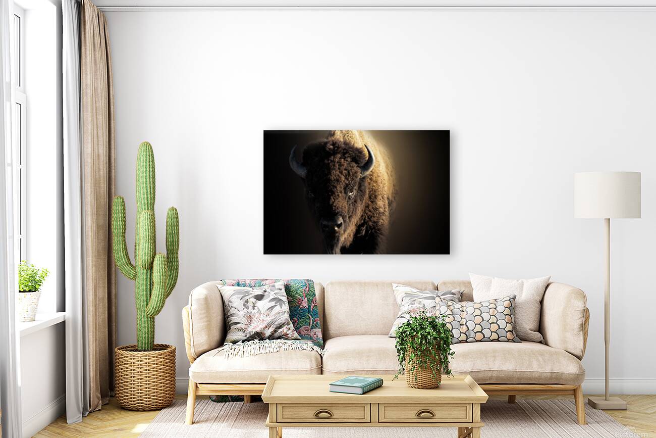 Wandering In Reproduction