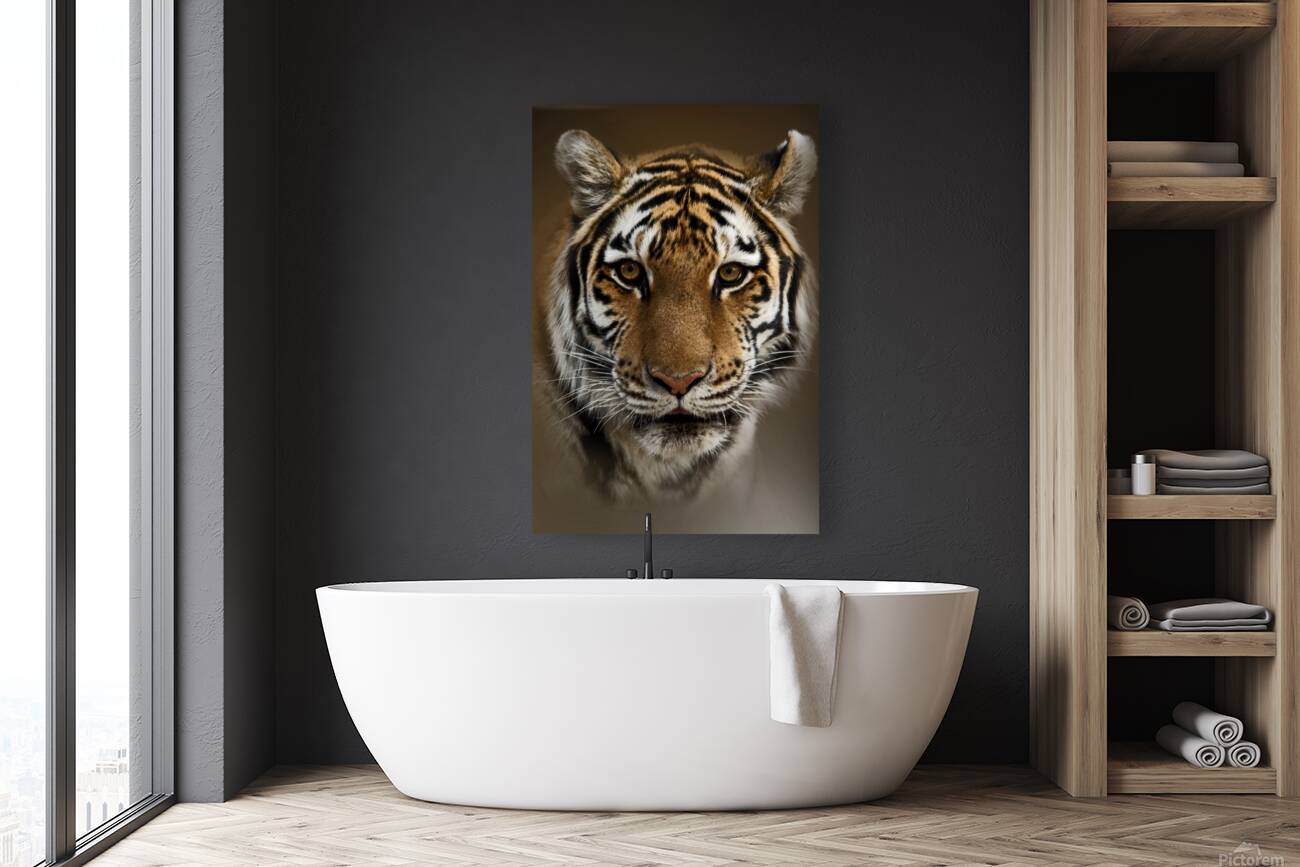 Tigress Reproduction
