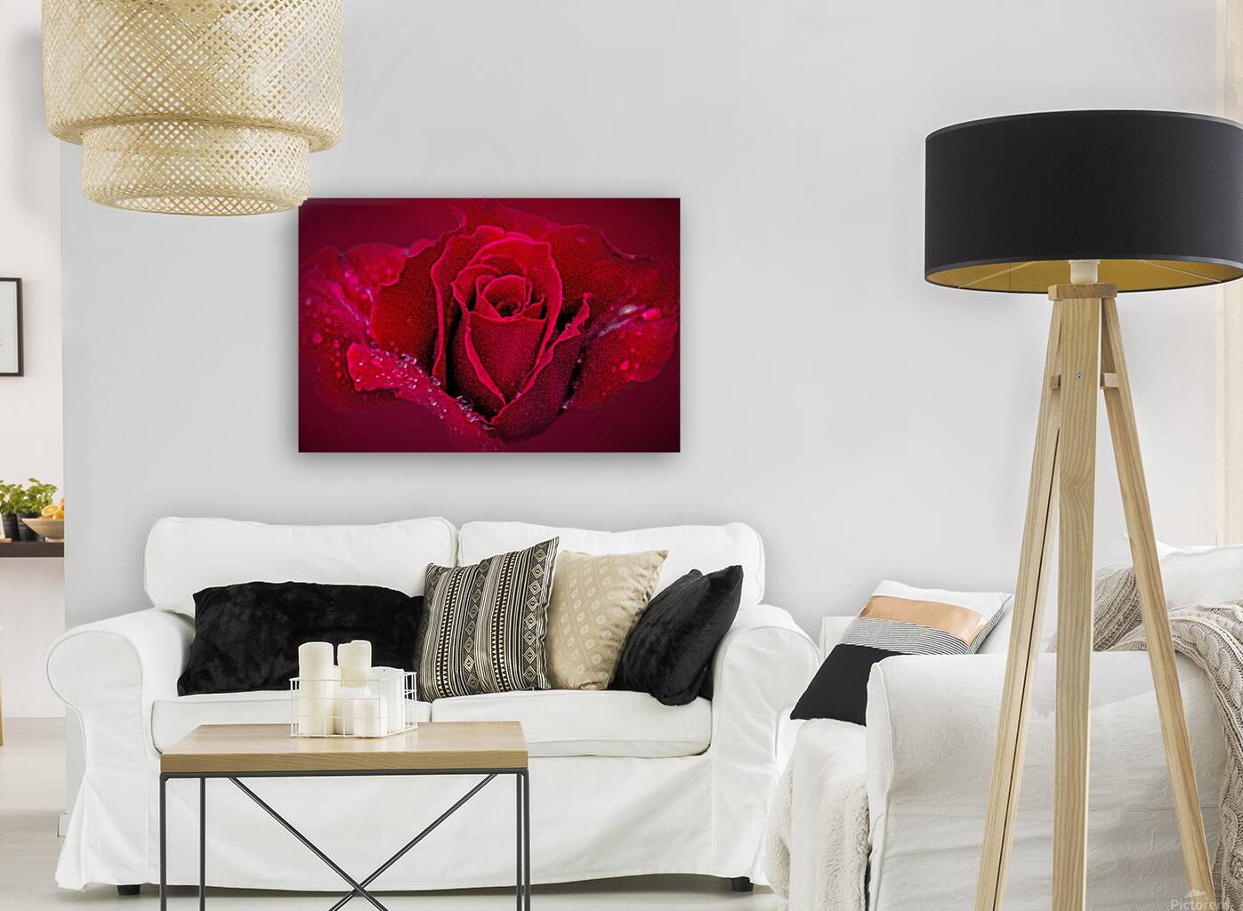 Red Rose On Red Reproduction