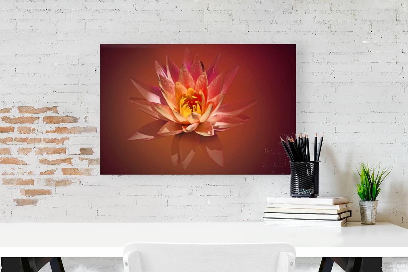 Spa Lily Reproduction