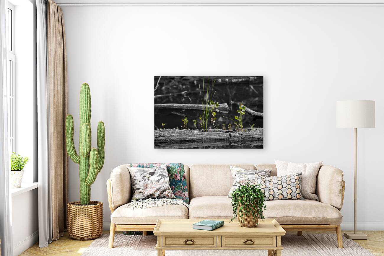 Life from the Decay Reproduction