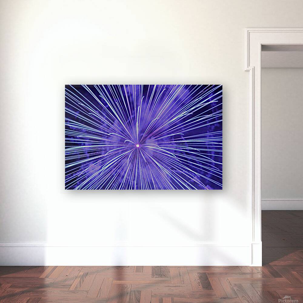 Fire burst Reproduction