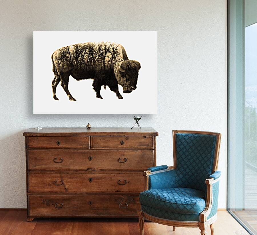 Brush Bison Reproduction