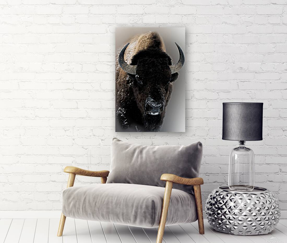 Warm Winter Coat  Reproduction