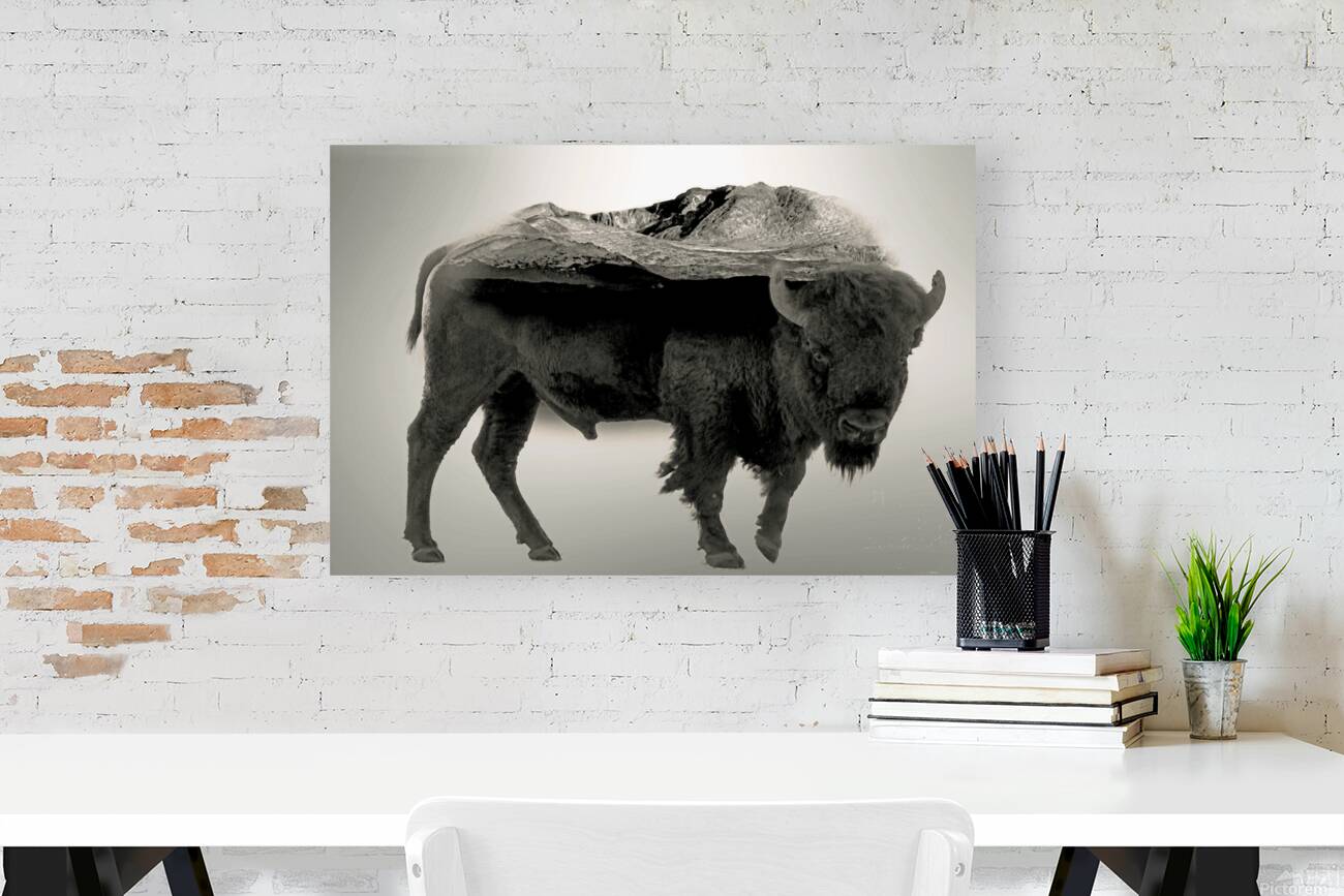 Rocky Mountain Bison  Reproduction
