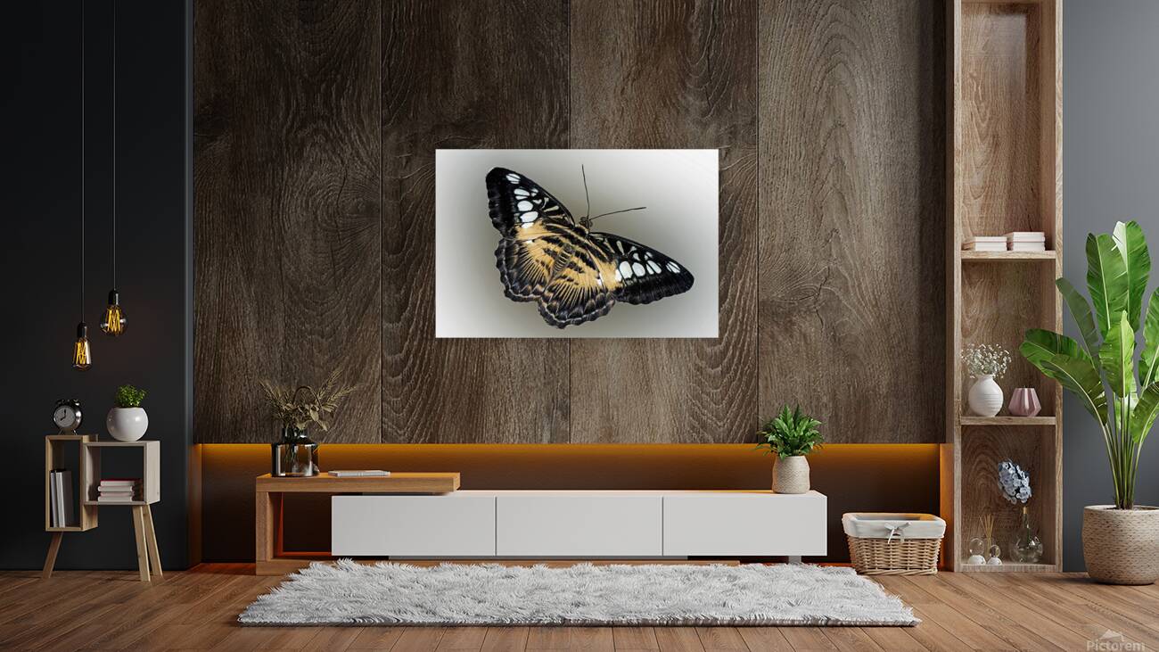 Clipper Art Reproduction