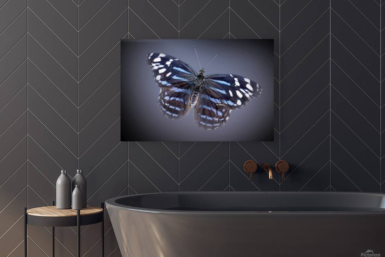 And Im Feeling Blue Reproduction