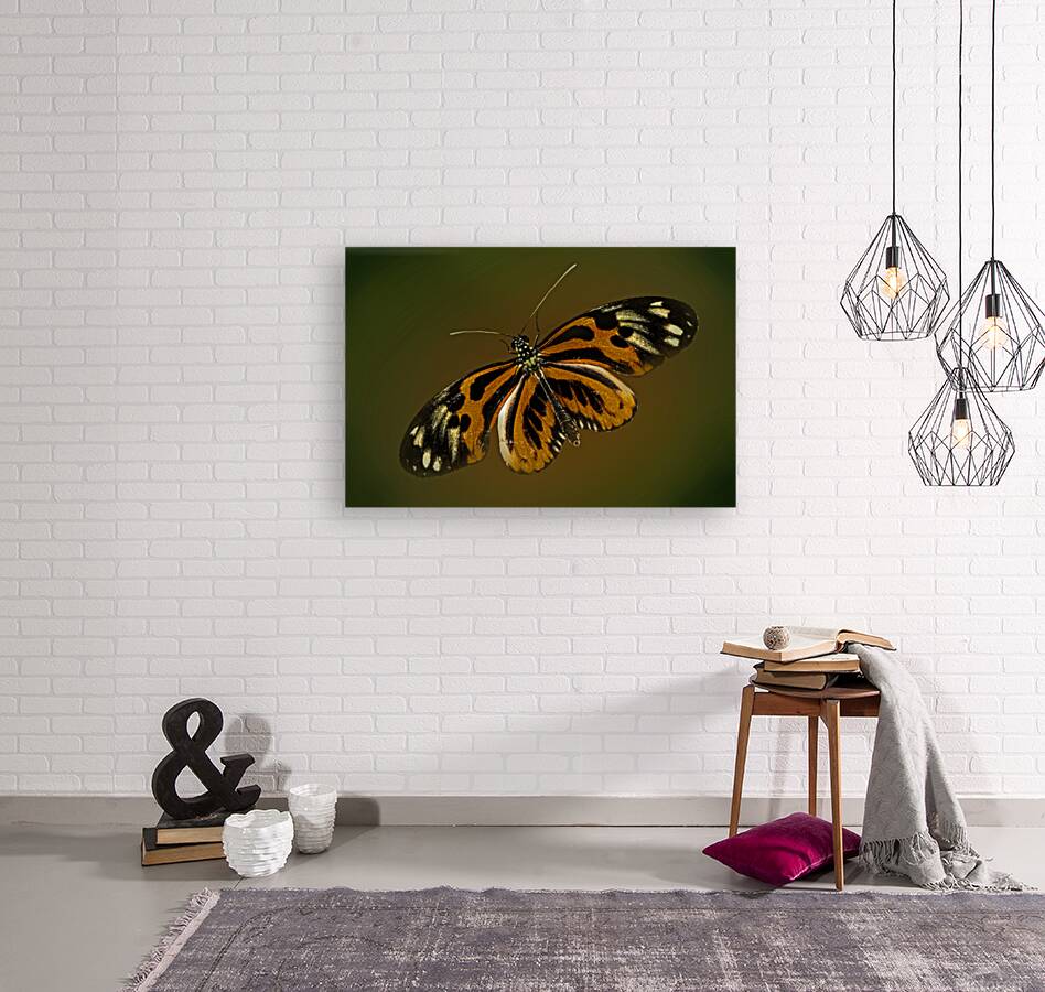 Tiger Wing Reproduction