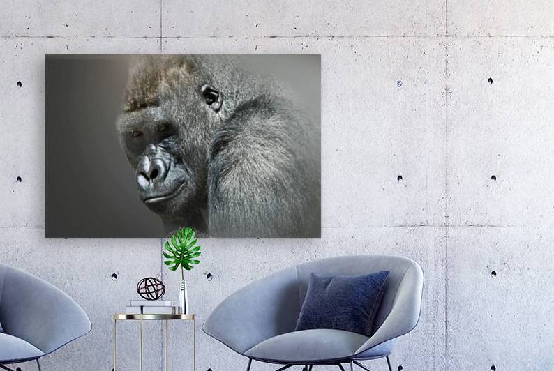 I told You So by B Zolle