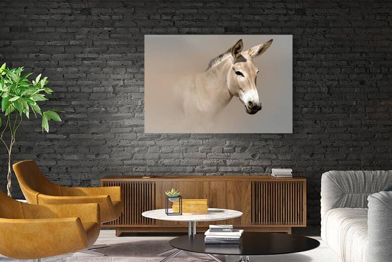 Wild Ass Art by B Zolle
