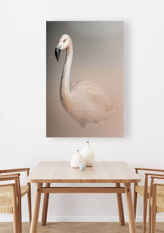 Graceful Blush   by B Zolle