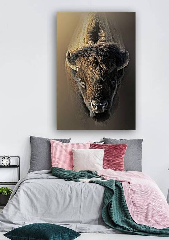 Silent Thunder in Portrait by B Zolle