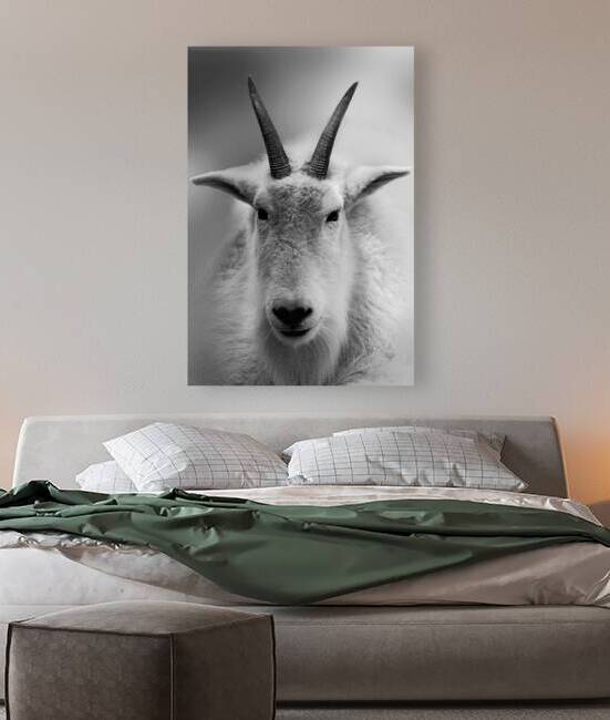 A Cloud with Horns by B Zolle