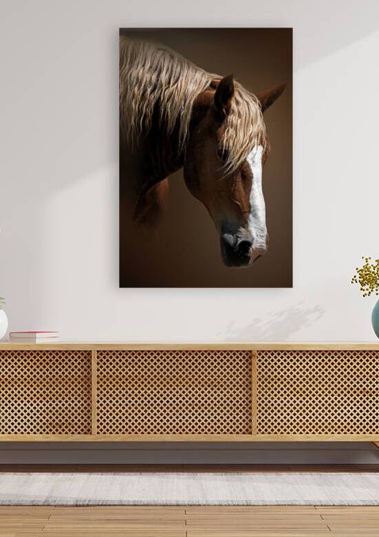 A Stable Life by B Zolle