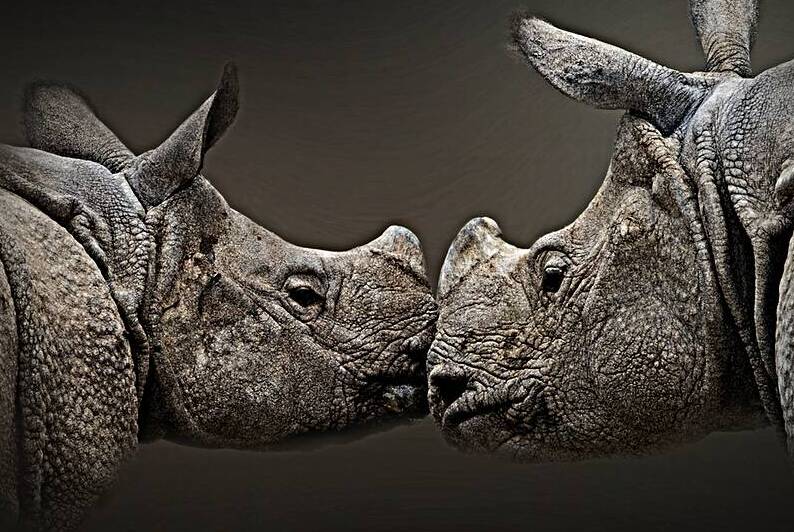 Affectionate by B Zolle