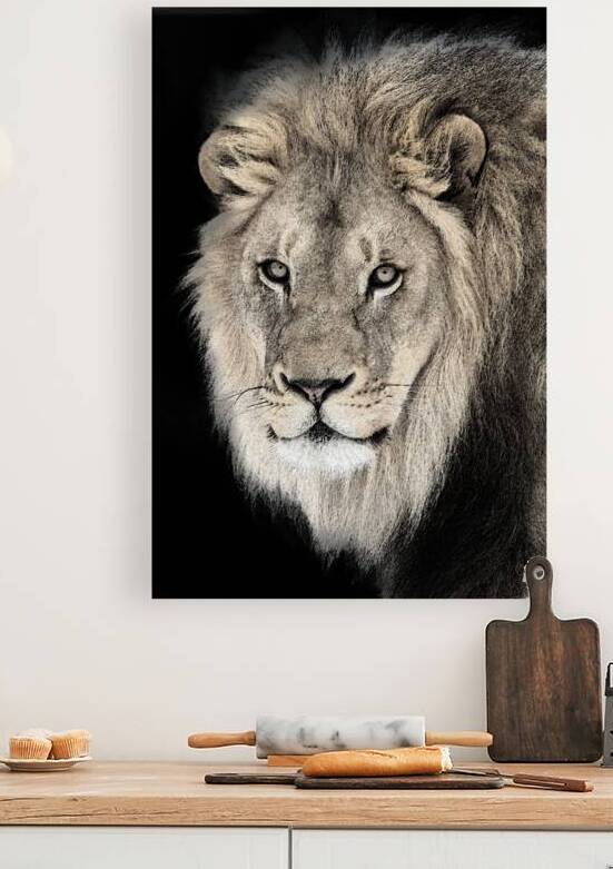 Courage by B Zolle