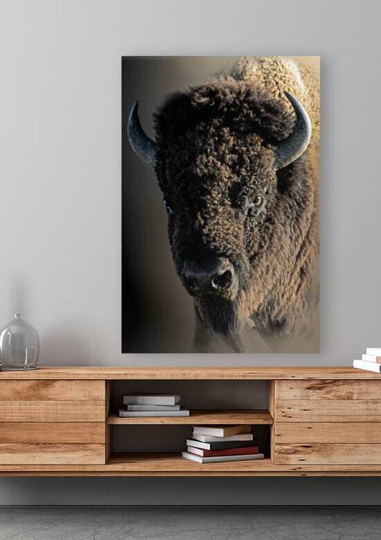 Boom Bull by B Zolle