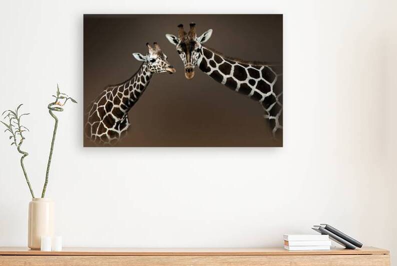 High Bulls by B Zolle