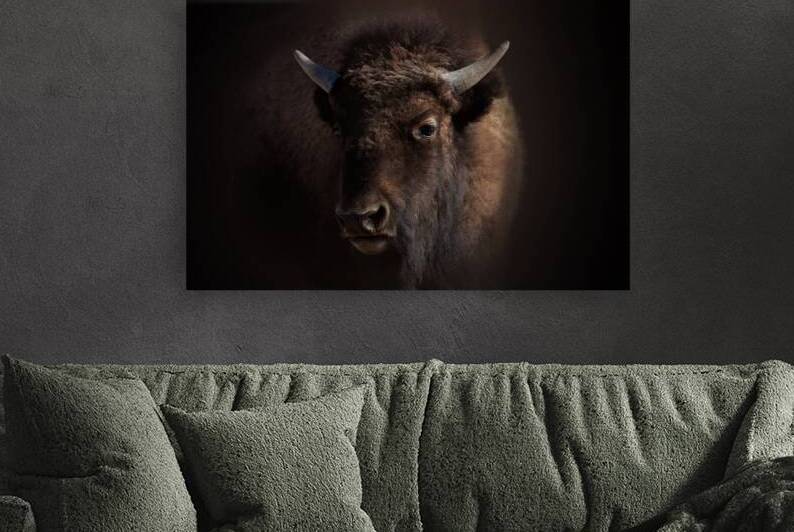 Finding Its Place by B Zolle