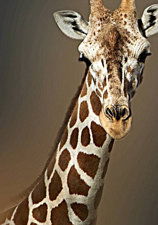 Whats Up by B Zolle