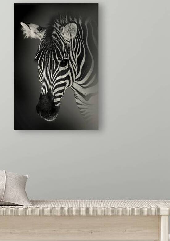 Famously Black and White by B Zolle