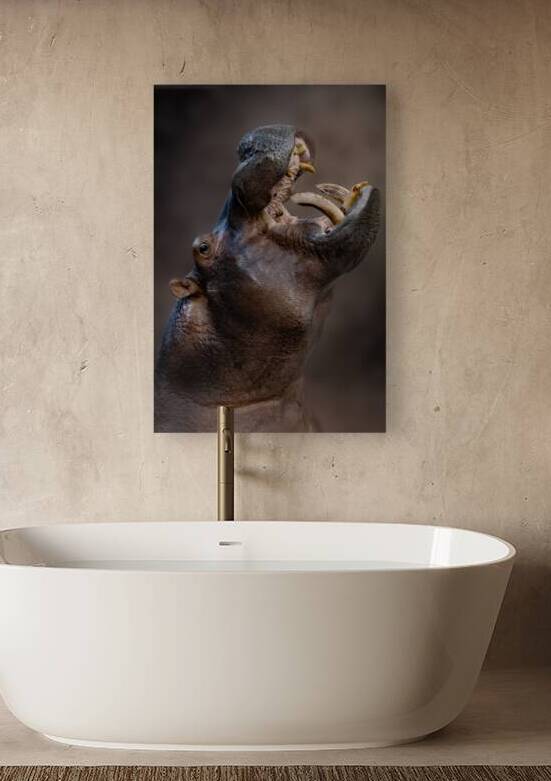 You Forgot the Potamus by B Zolle