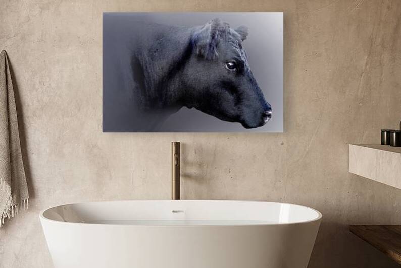 Black Angus by B Zolle