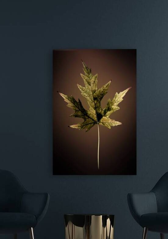 Leaf  by B Zolle