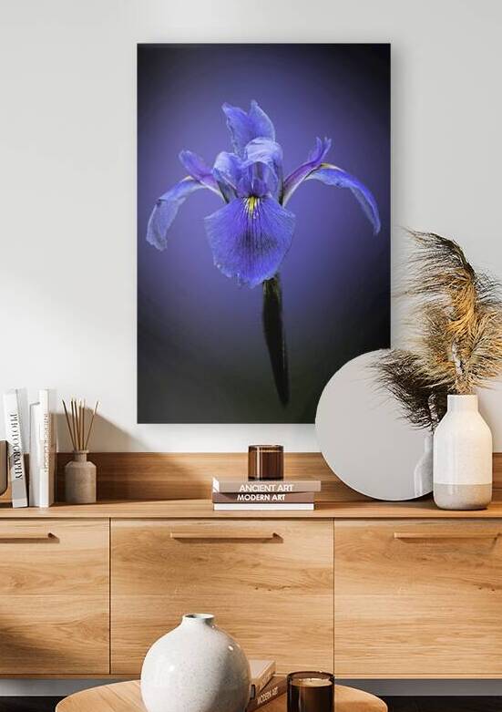Iris Art by B Zolle